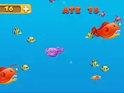 Eat Small Fishes