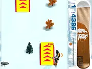 Snowboard Flash