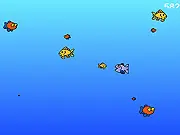 Fat Fish