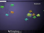 Kiss-Fish