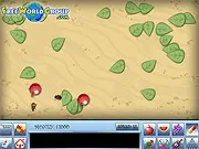 FWG Evolution