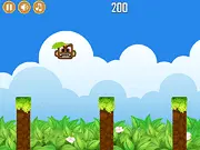 Infinite Jumpy Cat