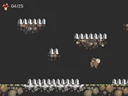 Mushroom Gathering