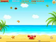 Hungry Crab