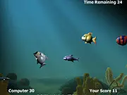 Top Fish