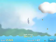 Dolphin Cup