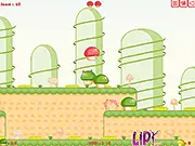 Mushroomi