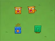How To Feed Animals?