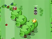 Tumblebrook Slalom