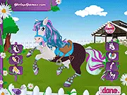 Horse Hair Studio