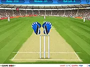 Cricket Wicket