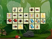 Connect the Insects