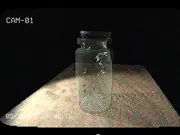 Flies in a Jar
