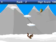 Go Squirrel Go!