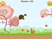 Turtle Run