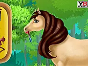 Horse Caring and Spa