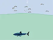 Shark Farts