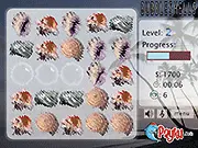 Bubble Shells