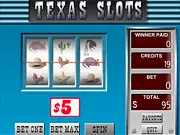 Texas Slots