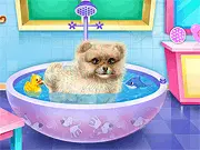 Pomeranian Puppy Day Care