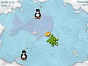 Dizzy Turtle