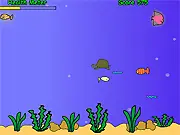 Disco Fish