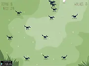 Pasture Panic!