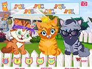 Alley Cat Choir