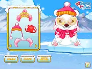 Pet Stars: Fluffy Polar Bear