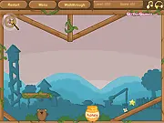 Sweet Honey Flash