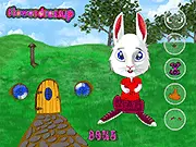 Funny Bunny Flash