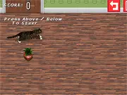 Catbox Bowling