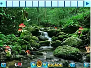 Adventure Forest Escape
