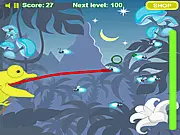 Chameleon Survival