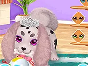 Cute Puppy Care Html5
